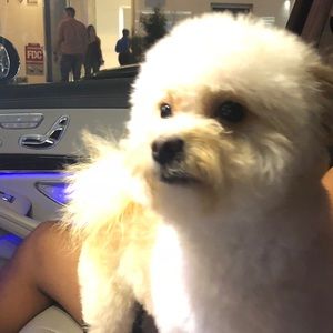 Meet your Posher, Rey